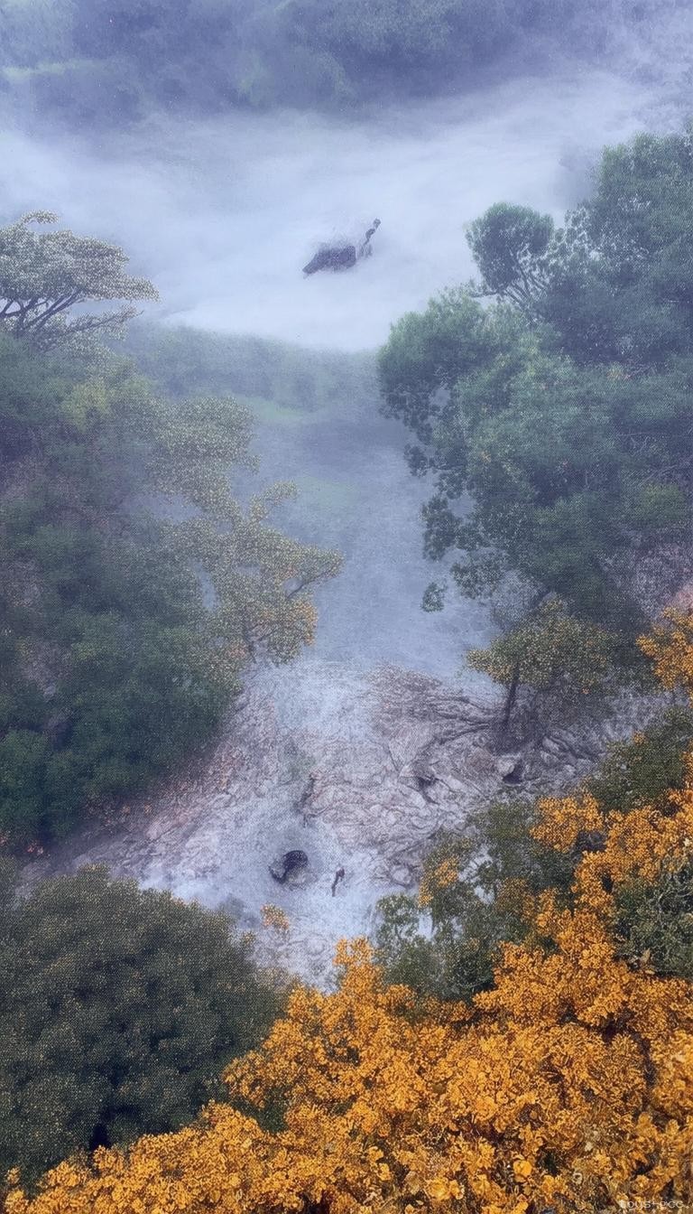 北大未名湖湖水售卖风波：我的亲历与反思✨